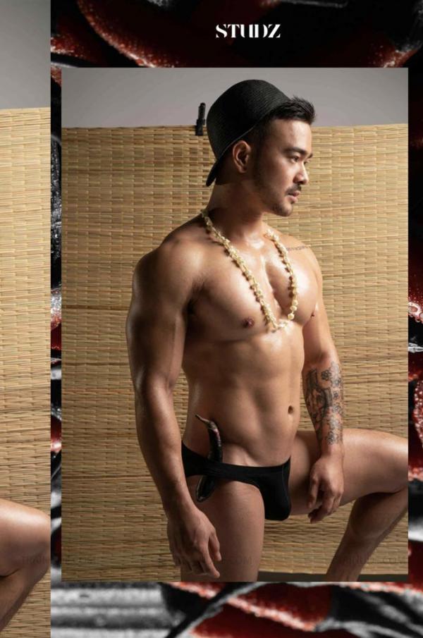 STUDZ-01--Zesty--Ebook--Video-